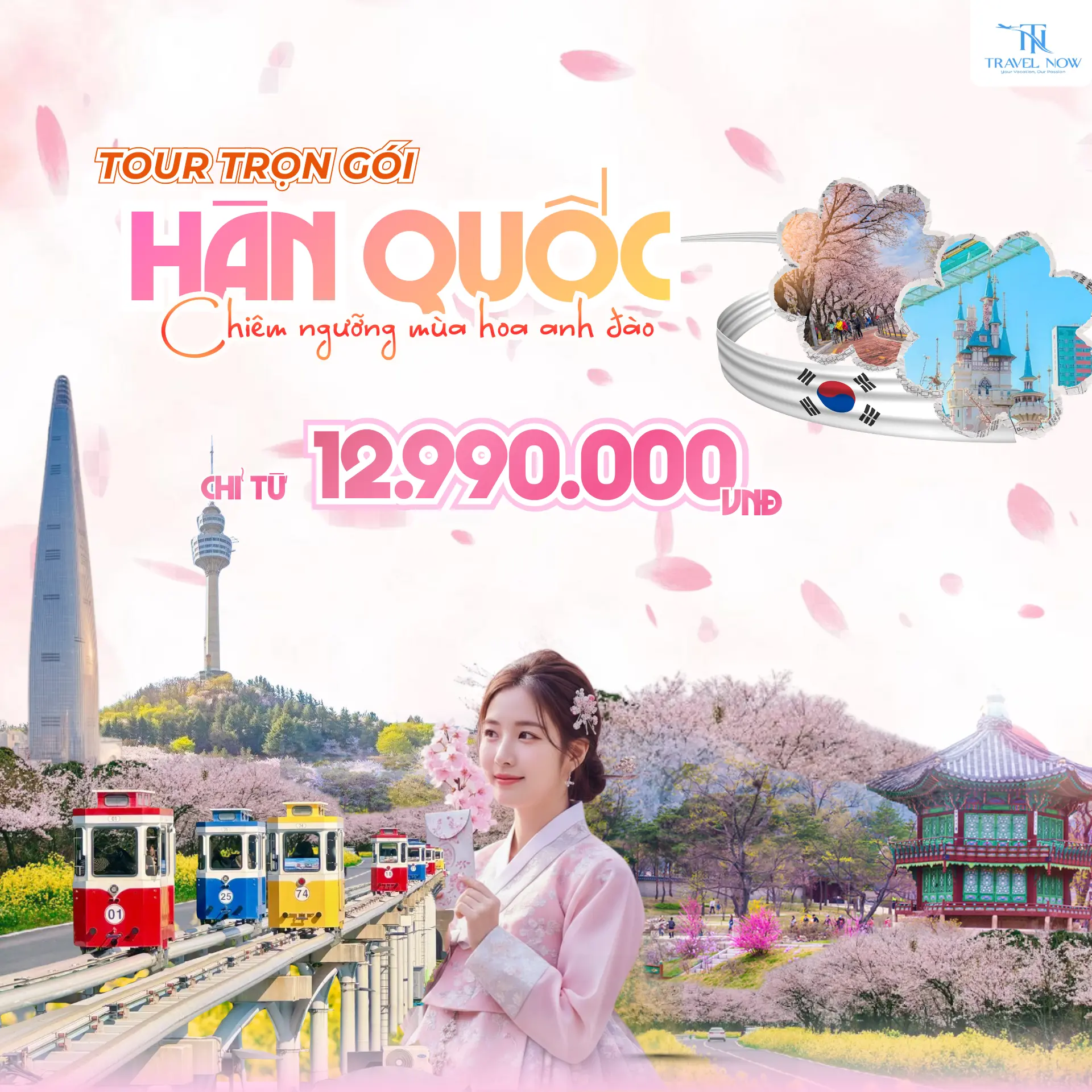 tour hàn quốc hoa anh đào