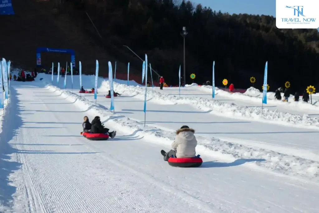 tour hàn quốc tháng 1