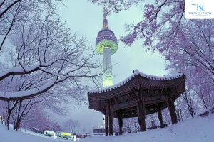 tour hàn quốc tháng 1